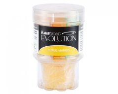 Vklad do osvěžovače vzduchu V SOLID EVOLUTION CITRUS MANGO