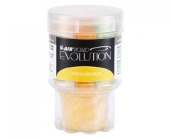 Vklad do osvěžovače vzduchu V SOLID EVOLUTION CITRUS MANGO