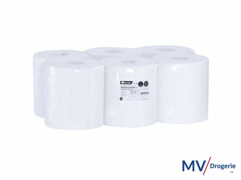 Zásobník na papírové ručníky v rolích Hygiene CONTROL FLEXI za 50 Kč + 2 balení papírových ručníků (12 rolí) FLEXI